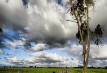 乐鱼app-世纪颠覆！巴萨体系碾压詹皇王朝？深度解码美洲杯背后的排名洗牌