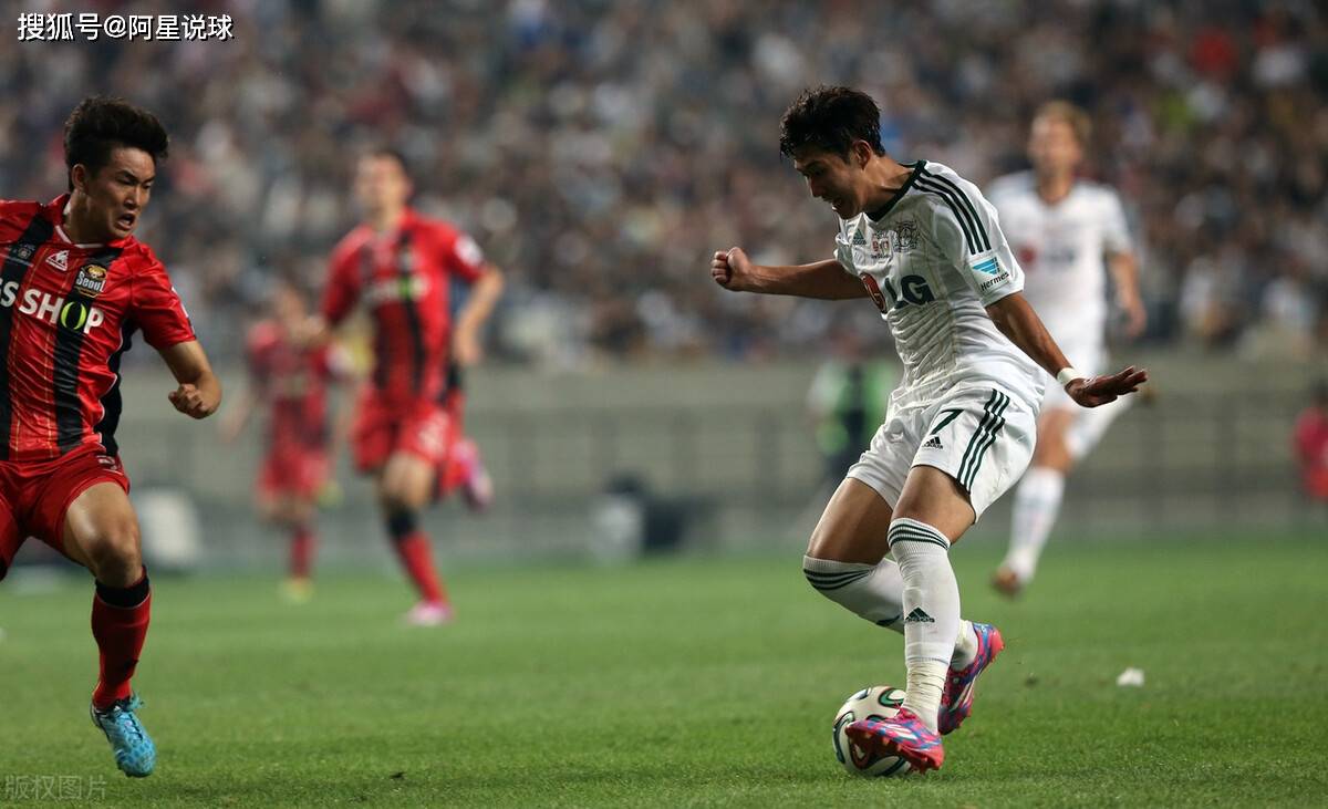 尼斯连胜走向巅峰，球队士气高涨