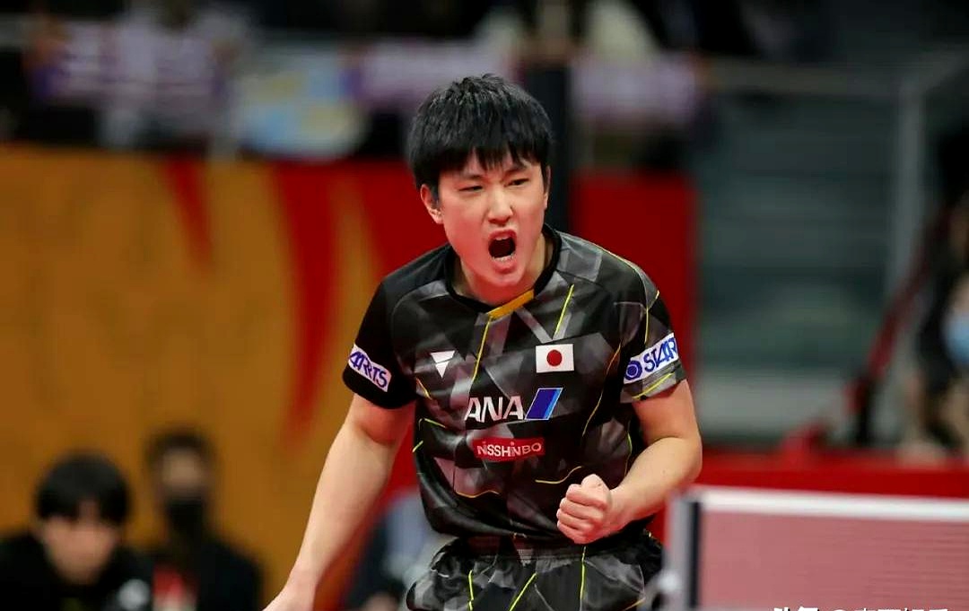 奥地利乒乓球队碾压中国乒乓球队，张本智和惊艳世界的简单介绍
